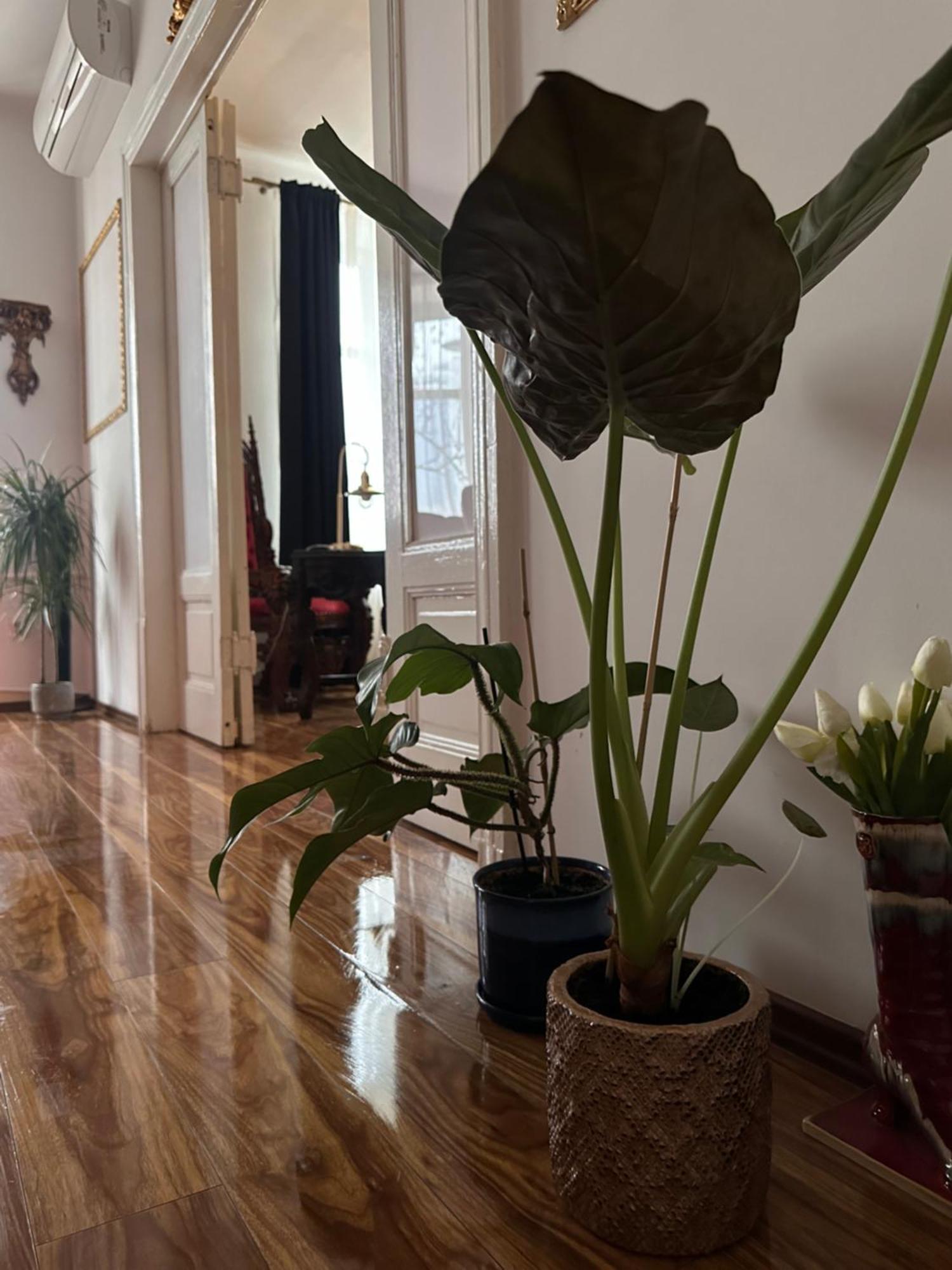Exclusive Apartment Chmielna Street 95M2 Варшава Экстерьер фото